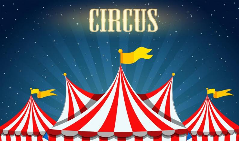 Dit jaar 3 circussen in Halle
