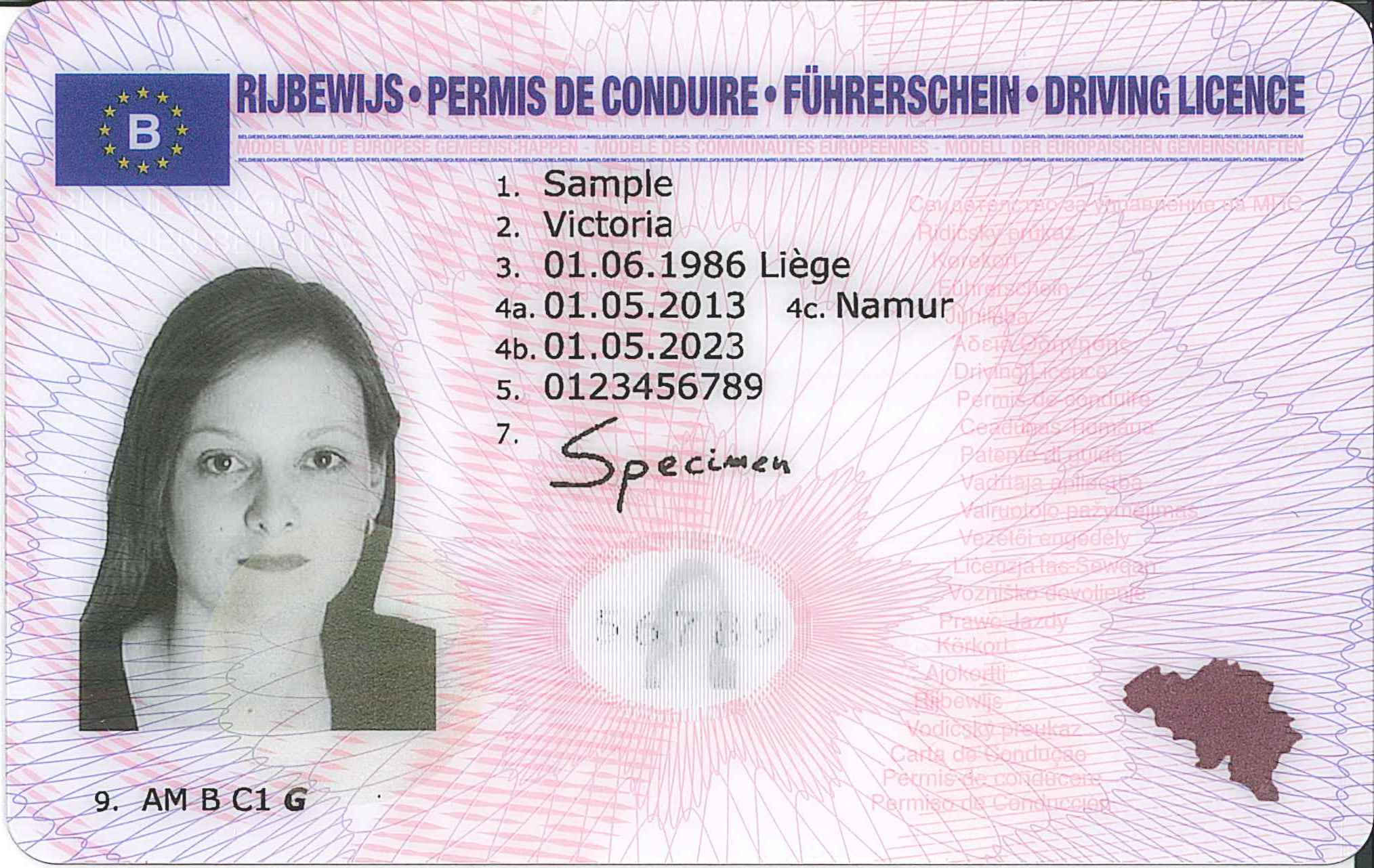 водительское удостоверение германии