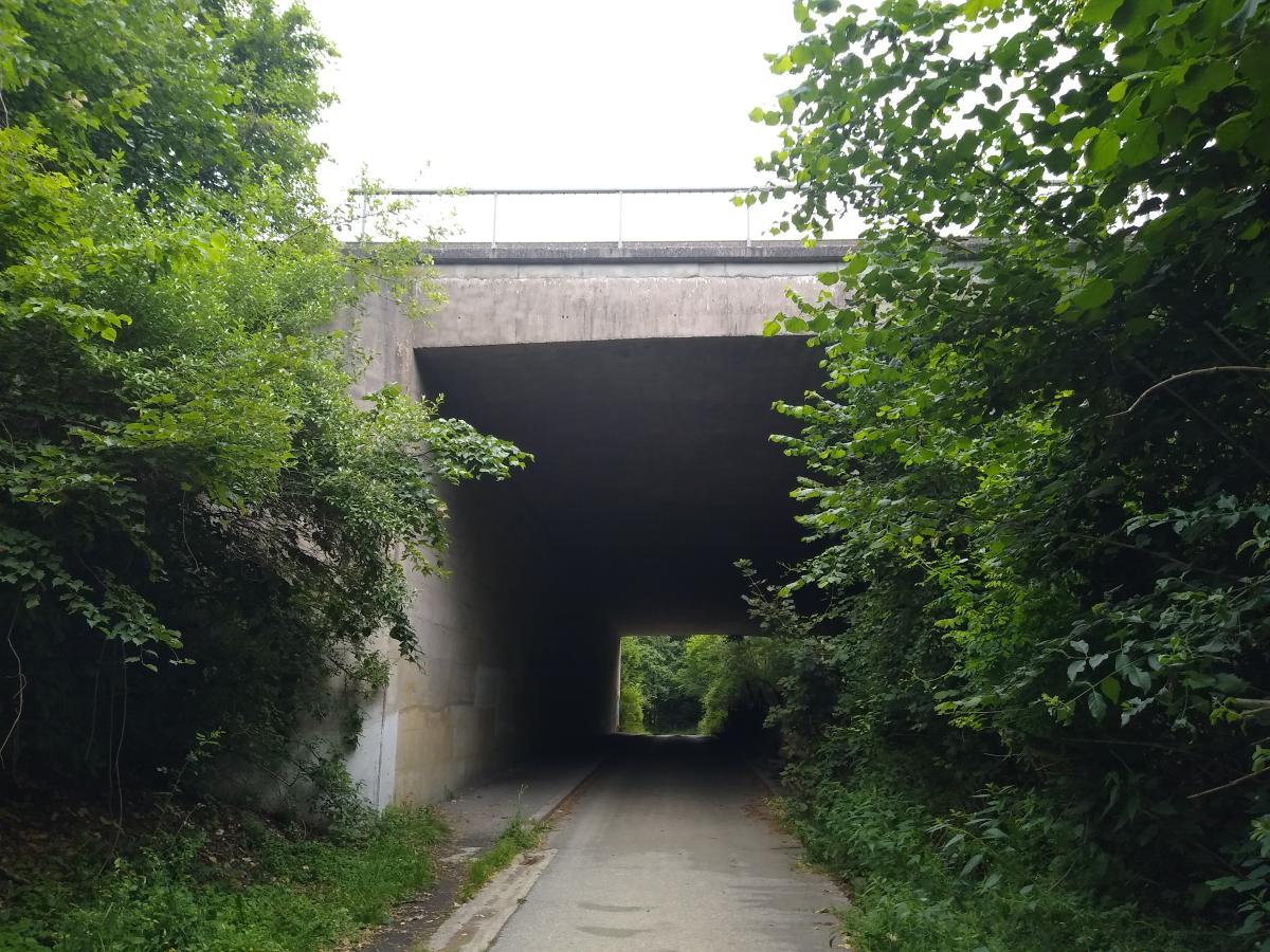 Ecotunel Hallerbos