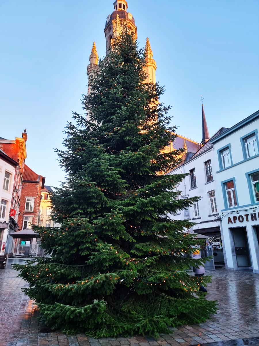 De kerstboom van Frédéric Hanard op de Grote Markt.