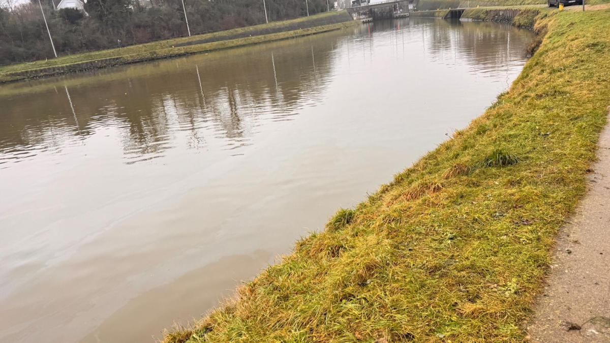 Olievlek langs Kanaal naar Charleroi