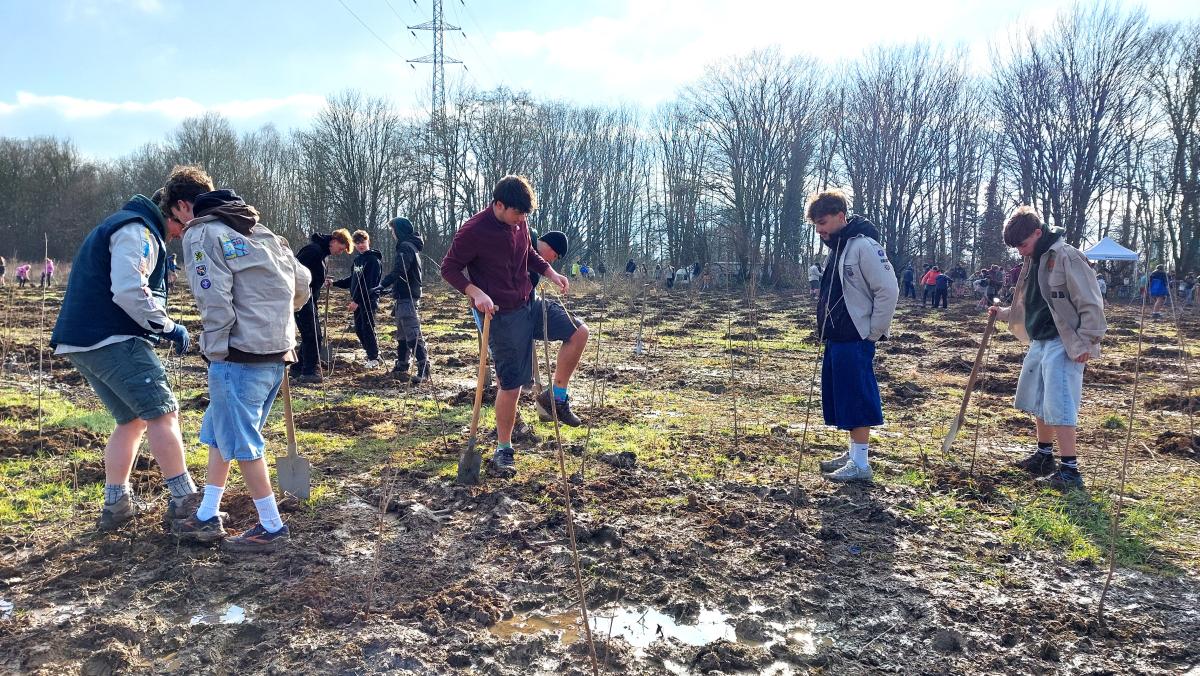 Plantactie jeugdbewegingen (c) Natuur en Bos