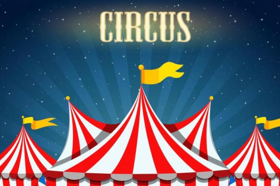 Dit jaar 3 circussen in Halle