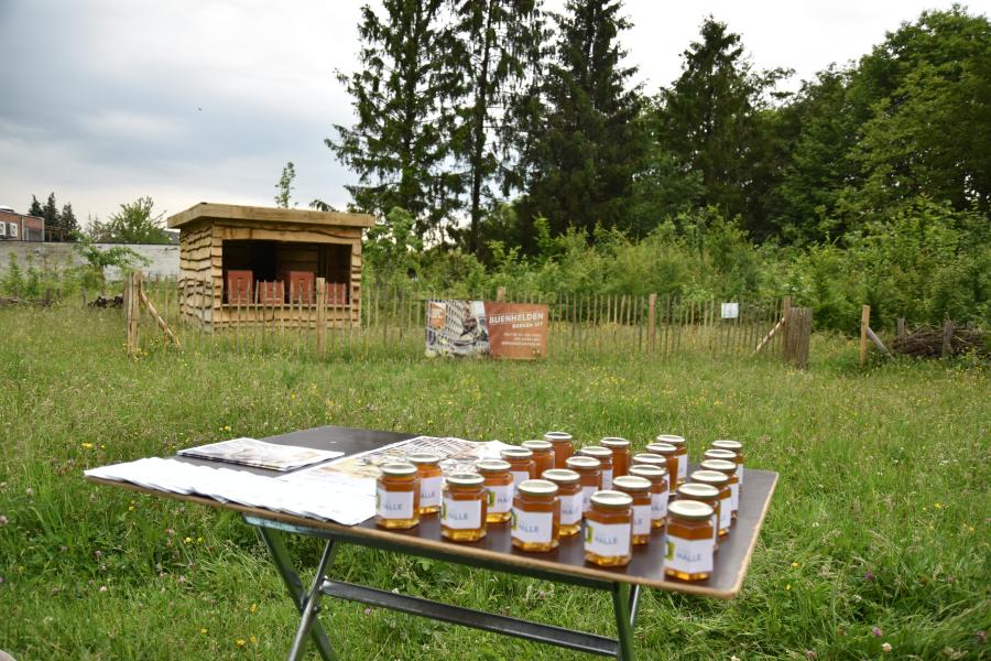 De nieuwe bijenhal in het Warandepark