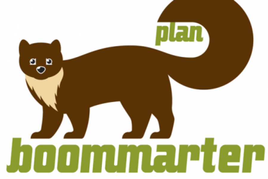 logo plan boommarter