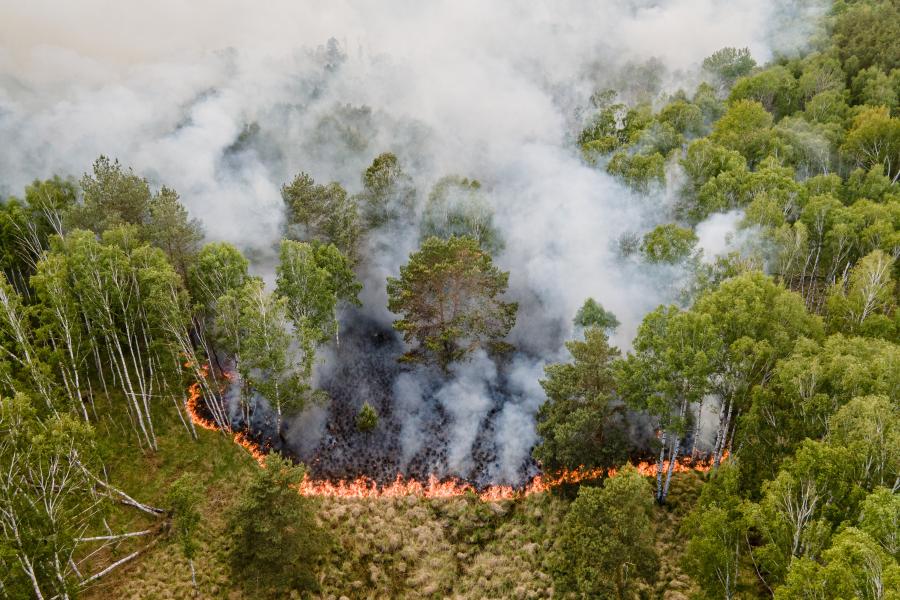 Verhoogd brandgevaar in bossen en natuurgebieden 