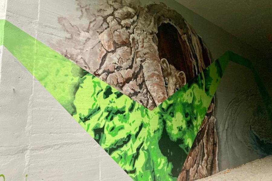 Viva Pintura en MASSI toverden de grijze muren van de ecotunnel aan de Pijpaenshoek om tot een mooi kunstwerk.