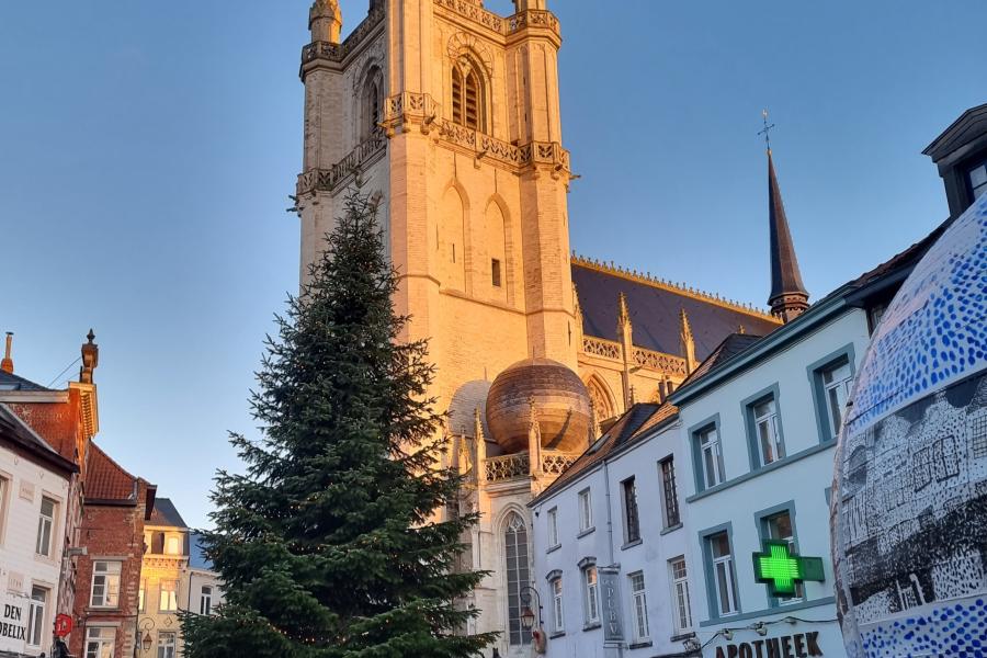 Kerstboom op de Grote Markt