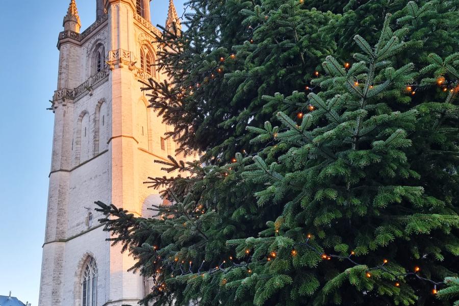 Kerstboom op de Grote Markt