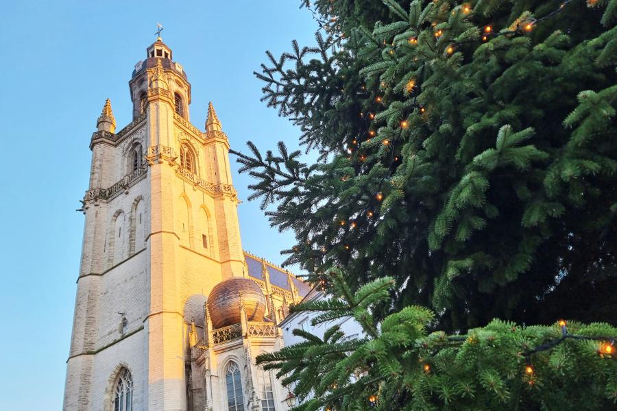 Kerstboom op de Grote Markt