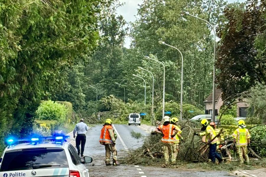 Melden stormschade