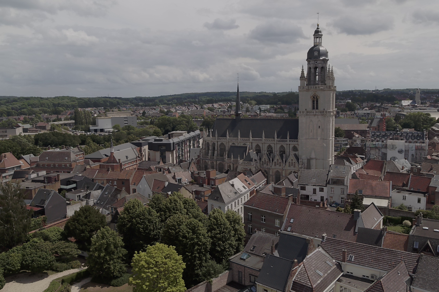 Dronebeeld Basiliek