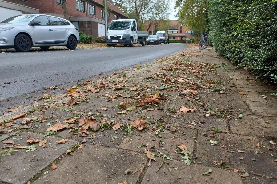 bladeren op de stoep en op de straat