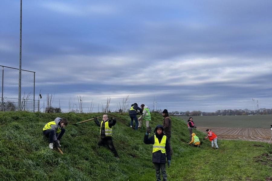 Groep bomenplanters