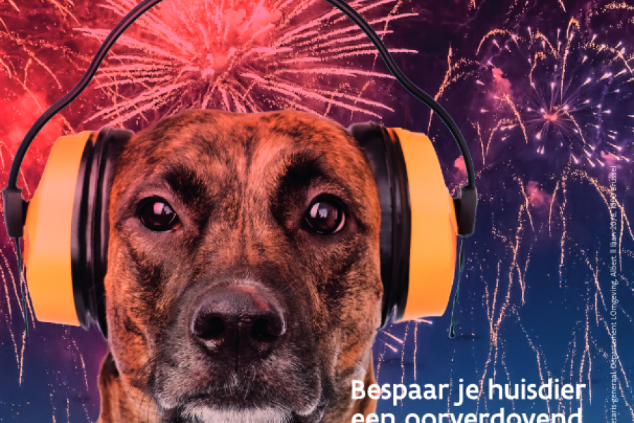 hond en vuurwerk affiche