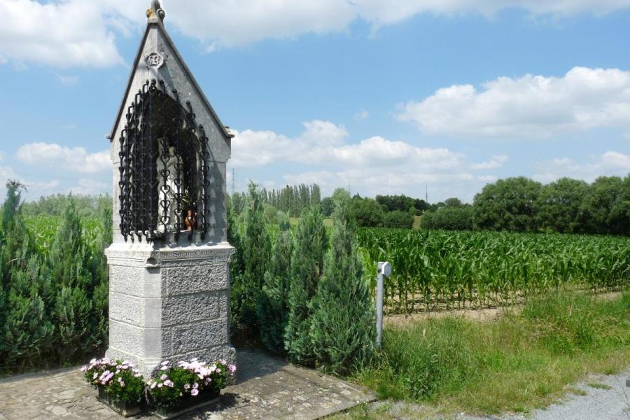 Zondag 18 mei 2025: Halse ontdekking “Halse kapelletjeswandeling” © den AST