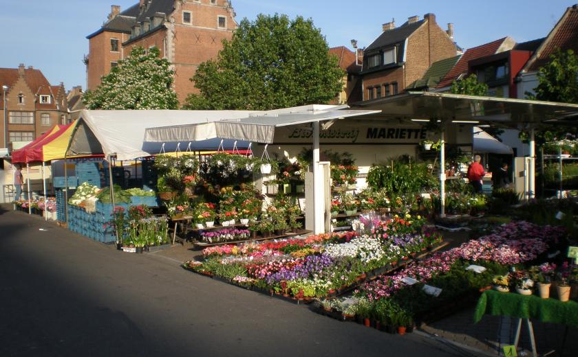 bloemenkraam op de markt