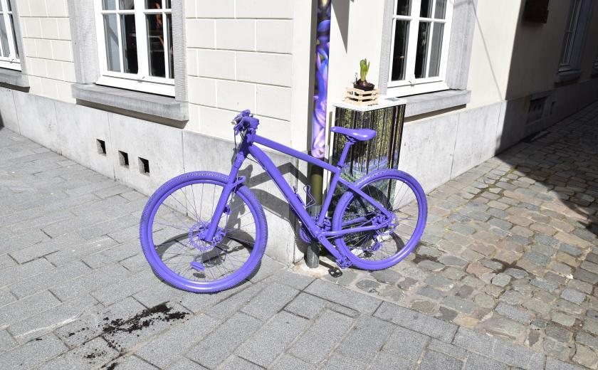 Paarse fiets promo Bluebellstreet
