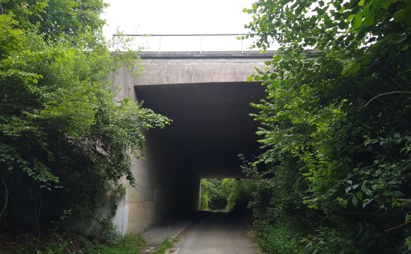 Ecotunel Hallerbos