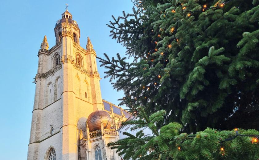 kerstboom op de Grote Markt