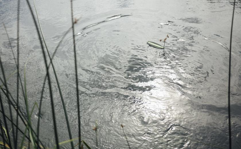 regendruppels in een rivier image by Freepik