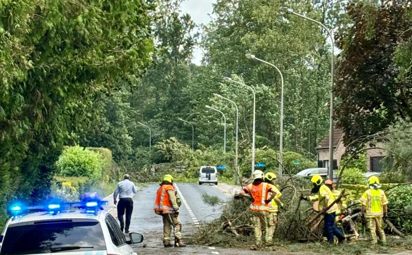 Melden stormschade 