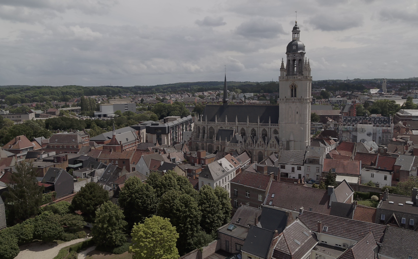 Dronebeeld Basiliek