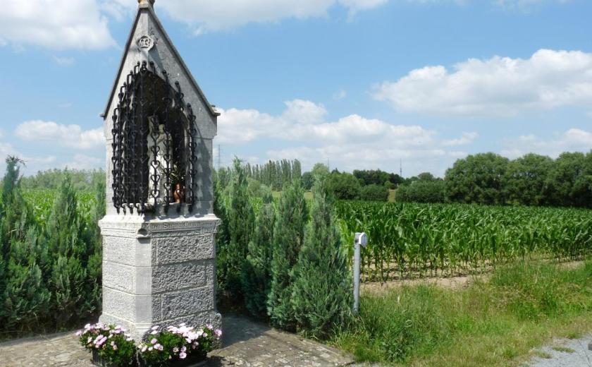 Zondag 18 mei 2025: Halse ontdekking “Halse kapelletjeswandeling” © den AST