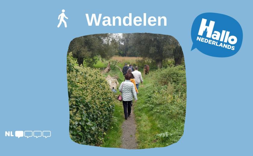 Hallo Nederlands - Wandelen (18+) © dienst Gelijke Kansen Stad Halle Hallo Nederlands - Wandelen (18+) © dienst Gelijke Kansen Stad Halle