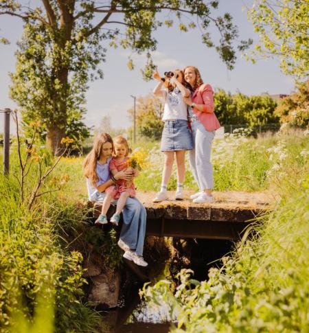De Grote Weide in Halle